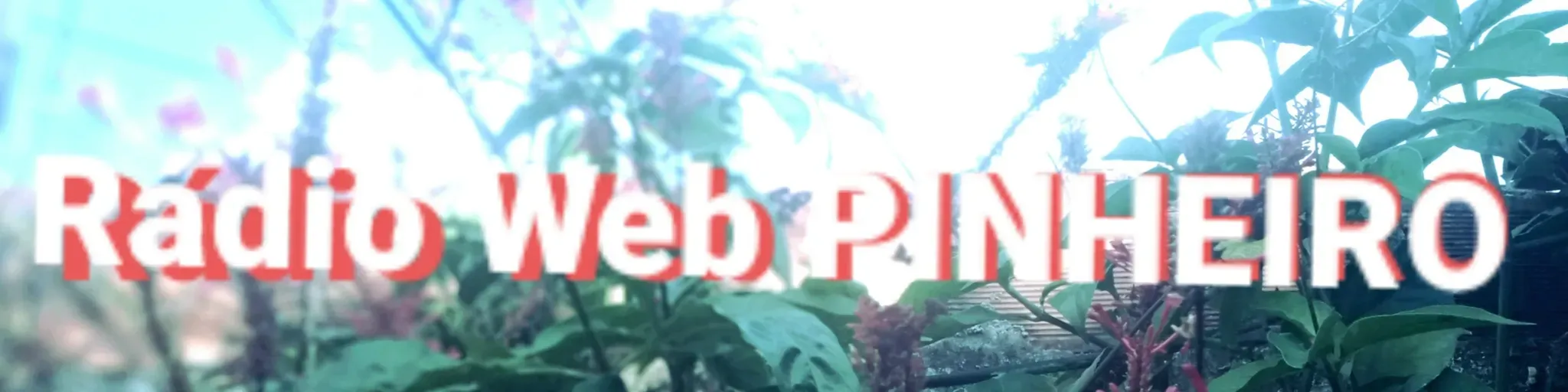 Rádio Web Pinheiro