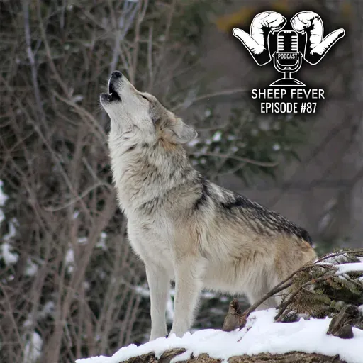 EP87 Wolves, Grizzlies, and the ESA – Is there daylight at the end of the tunnel?