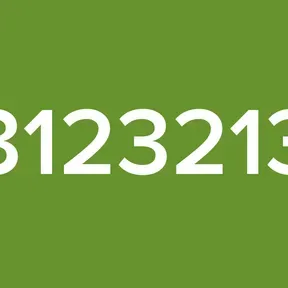 12312321321