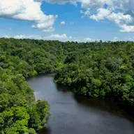 A COP 30 está chegando