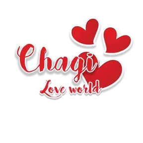 chagi world fm