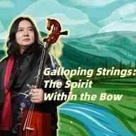 Galloping strings--The spirit within the bow