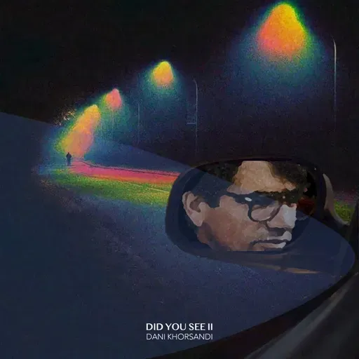 Did You See II