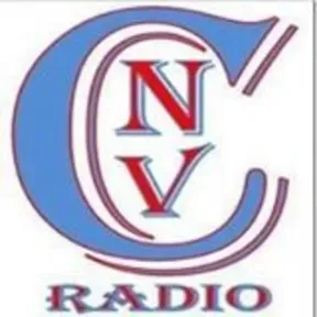 CnvR Digital Stereo