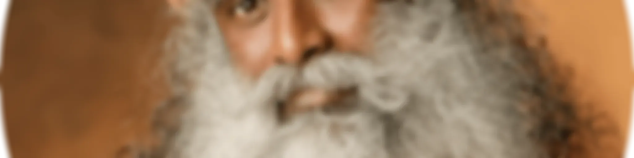 Sadhguru Português