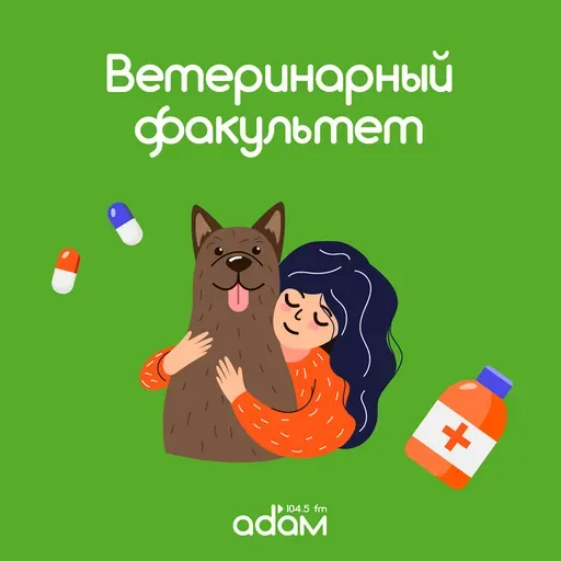 Ветеринарный факультет. Кото- и собако-подбор! Как правильно выбрать породу? 27/05/25