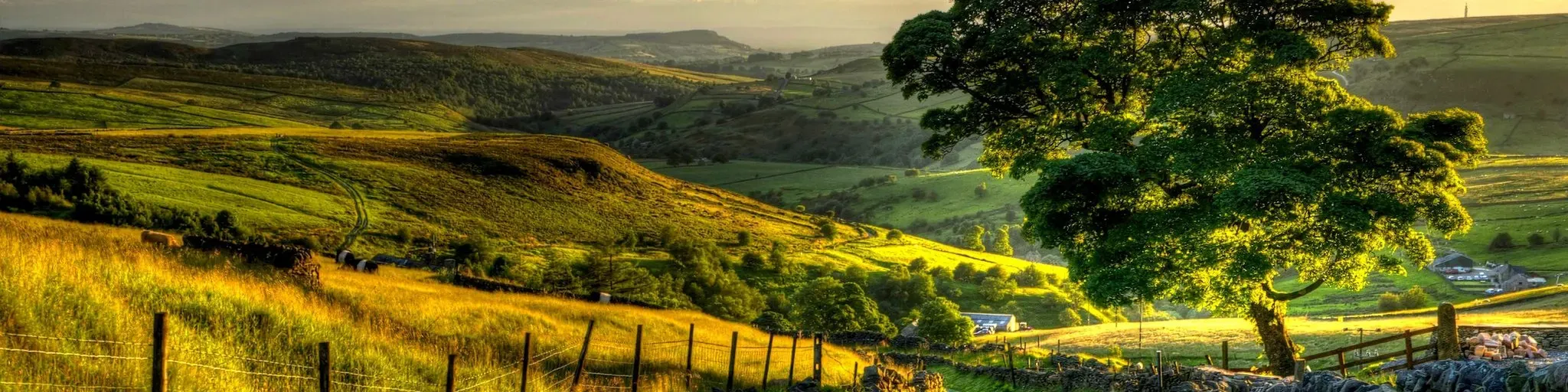 Radio Caminhando na Graca - Classicos