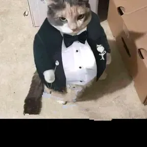 Piwiland