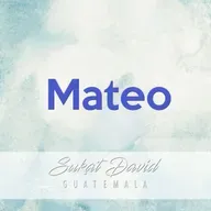 Mateo 28 verso por verso