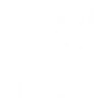 Šiandienos Programa