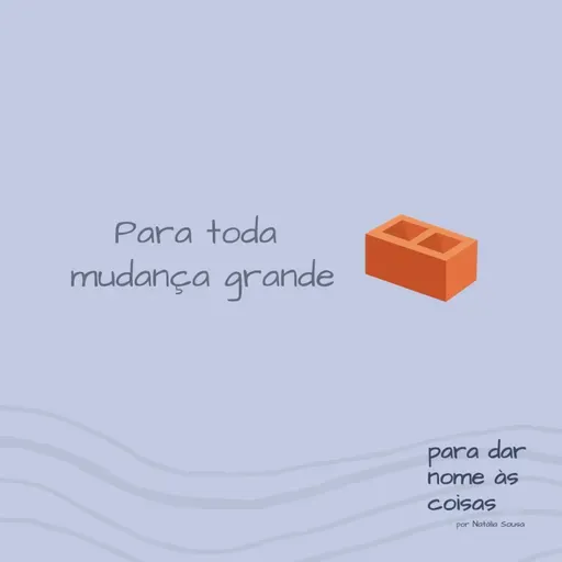 S08EP325 - Para toda mudança grande