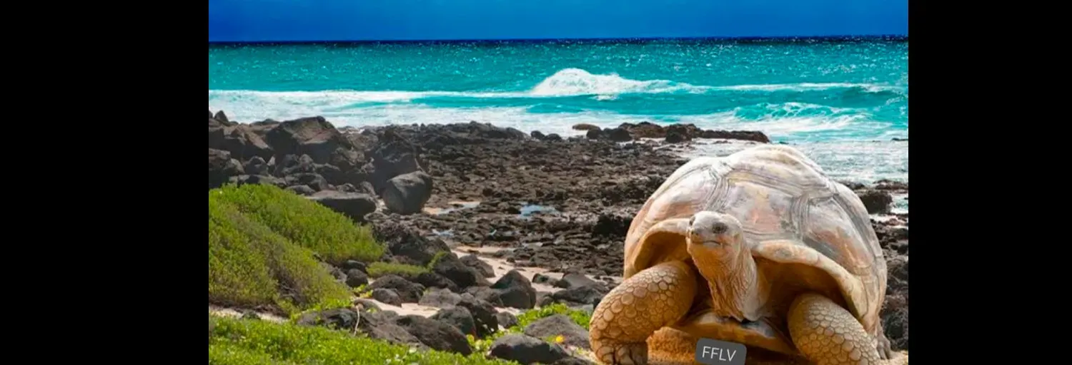 Radio Cristiana Palabra de Vida