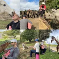 Animals & The Healing Power of Music