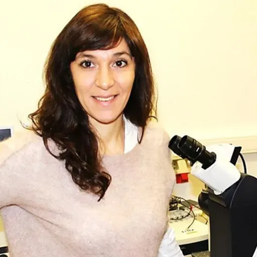 Ermelinda Maçôas (Técnico / CQE) – Grupo estuda novos materiais com aplicação em investigação biomédica e nanomedicina