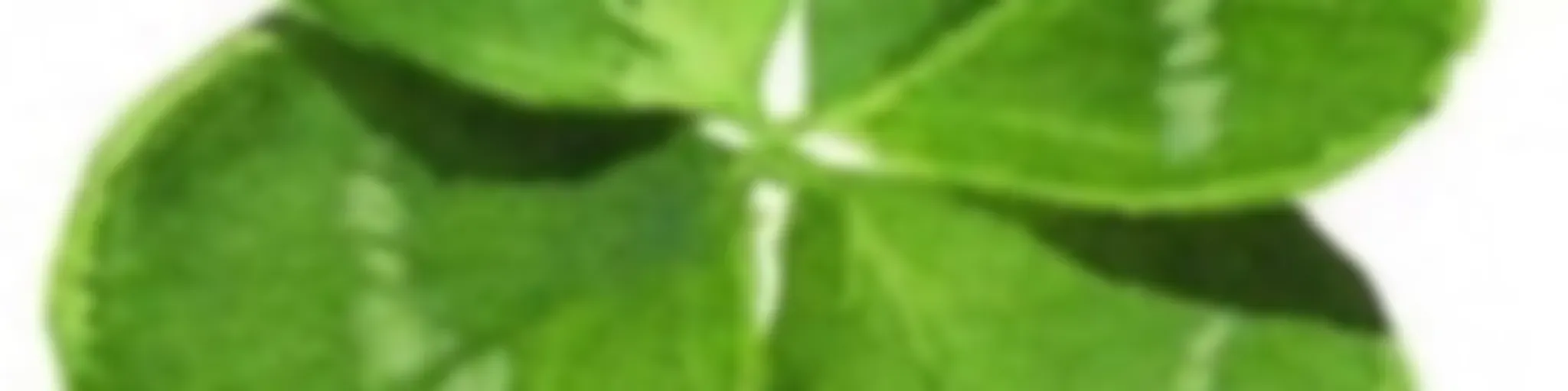 Прекрасная Зелёная