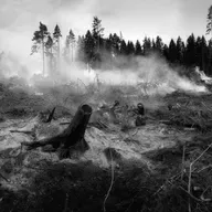 #negritasubrayadocursiva "Tierra quemada" 26 de agosto de 2025