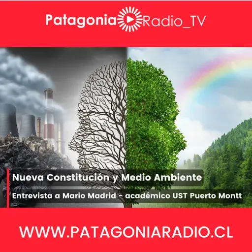 La nueva Constitución y el Medio Ambiente: Entrevista al académico Mario Madrid