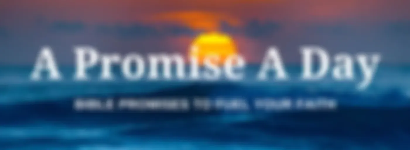 A Promise A Day