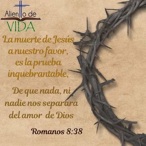 Pasión por lo que hacemos | Podcast         