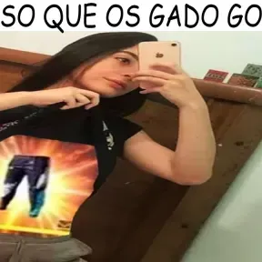 Enzoifcv
