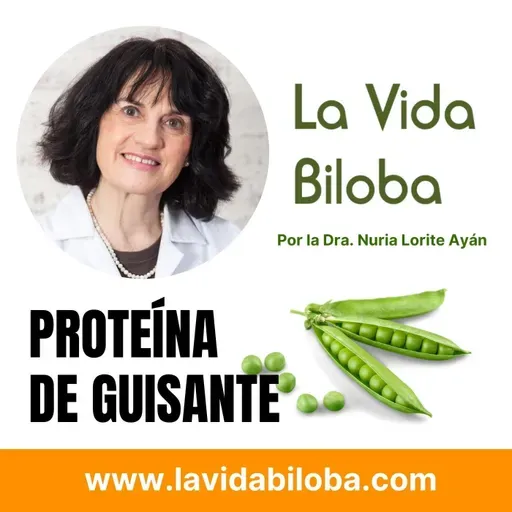 ¿Proteína de guisante?|Excelente opción vegetal para tus batidos y extra de proteína. Prueba nuevas recetas.