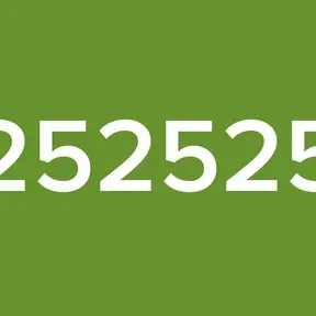 252525