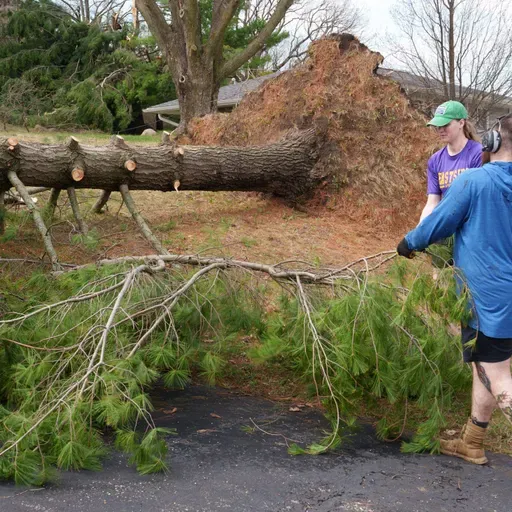 Storm recovery, Proton therapy for cancer treatment, Youngest Marinette city alder