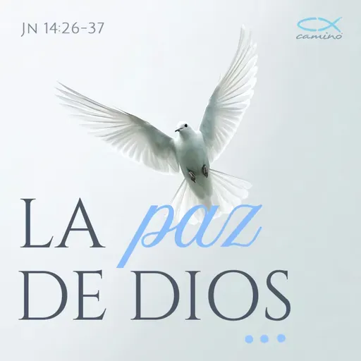 Oración 15 de abril (La paz de Dios)