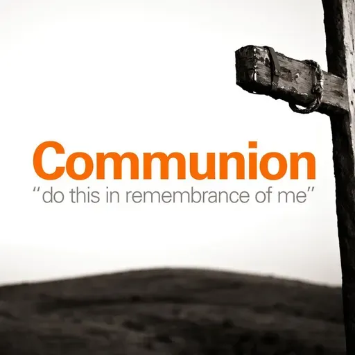 Jesus Died to Take Away Sins (1 John 3:4-9)