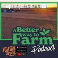329: Simple Steps to Better Beans