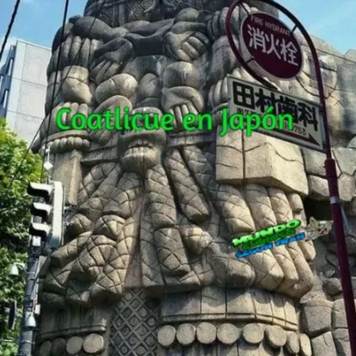 Mundo Curioso según Fran episodio 115
