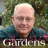 May 3, 2026 - 8AM WBAP