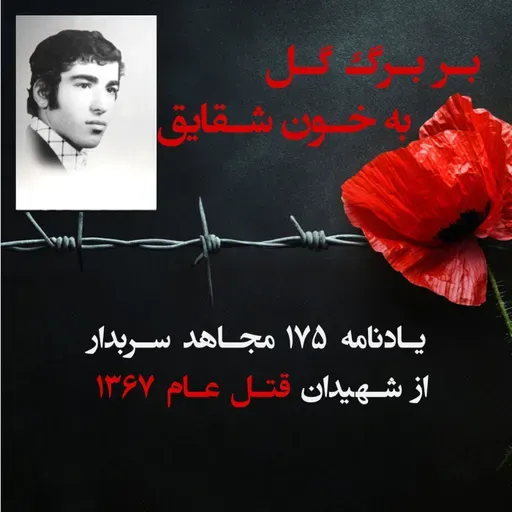 بربرگ گل به خون شقایق- حسین رجبی