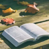 Evangelio según Juan capítulo 6