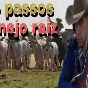 radio passos sertanejo raiz
