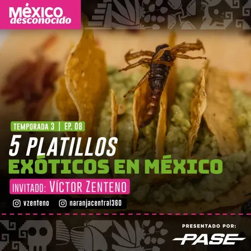 México Desconocido T3 | E8 - 5 Platillos exóticos en México con Víctor Zenteno