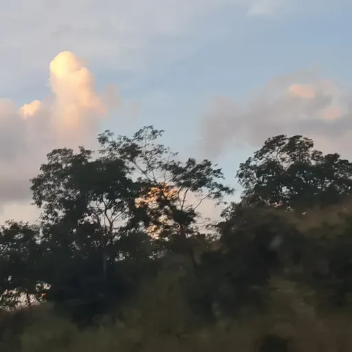 1 Tessalonicenses capítulo 4