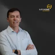 Impacto das Condenações de Carcaças - Marcos Morés | Ep. 318
