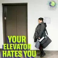 The math behind your daily annoyances