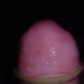 Perreointenso