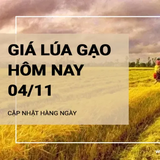 Giá lúa gạo hôm nay 4/11: Giá gạo tăng nhẹ 50 đồng/kg; giá lúa ổn định