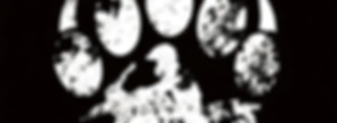 BEARcast - Motorrad Reise Podcast