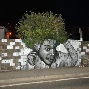 Mistureba Aleatória