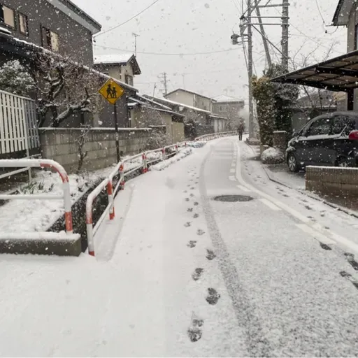 朝ラン-1℃。完全な民主政と完全な独裁政と爆笑問題の健筆と好きな女性タレントベストテン⑦。#1703 from Radiotalk
