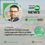 China reassumiu liderança entre principais destinos da carne de frango brasileira