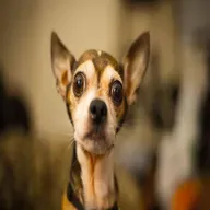 the mix with tyblack