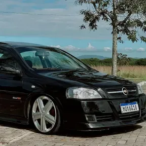 Minha palma