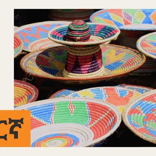 ዶናል ትራምፕ የሩስያና ዩክሬይን ጦርነትን ለማክሰም ተቃርቤያለሁ ሲሉ፤ በጦርነት ላይ ያሉት ሃገራት እርግጠኞች አይደሉም