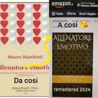 S01E35 Allenatore emotivo (part2)