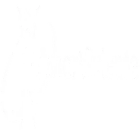 Amor Viviente Girona Radio